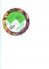 Disk (Large).jpeg